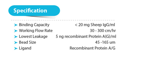 PureSelect Protein A/G Agarose Fast-Flow