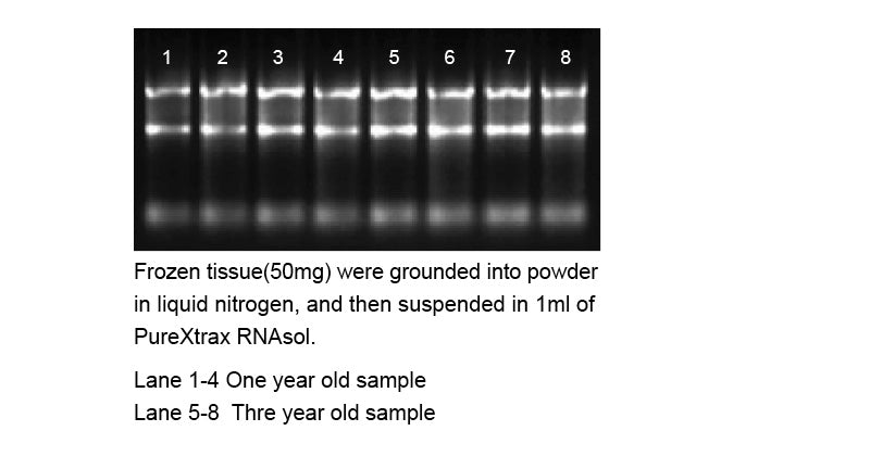 PureXtract RNAsol RNA Isoltaion Solution