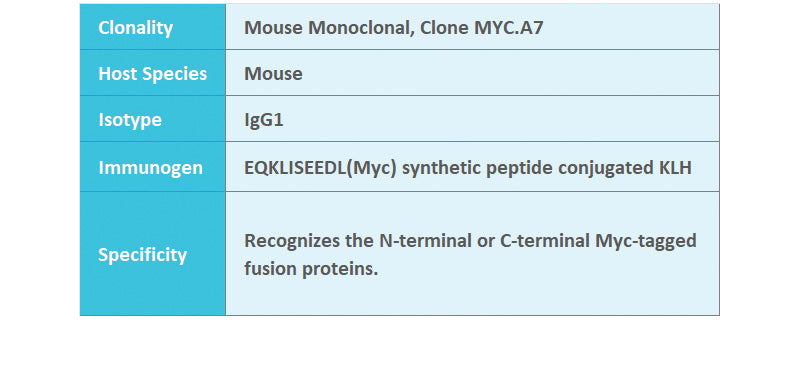 Myc-Tag Mouse Monoclonal Antibody