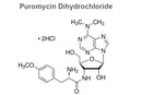 Puromycin Dihydrochloride, 98%>