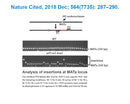 amfiSure PCR Master Mix(2X)