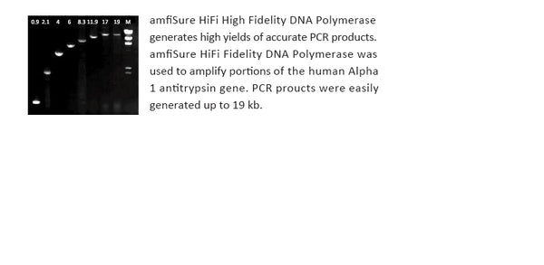 amfiSure HiFi High Fidelity DNA Polymerase