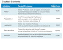 Xpert Protease Inhibitor Cocktail Solution (100X)