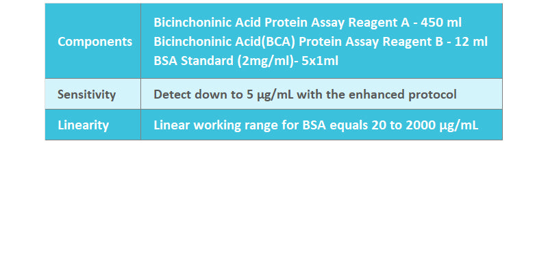 Bicinchoninic Acid (BCA) Protein Assay Kit
