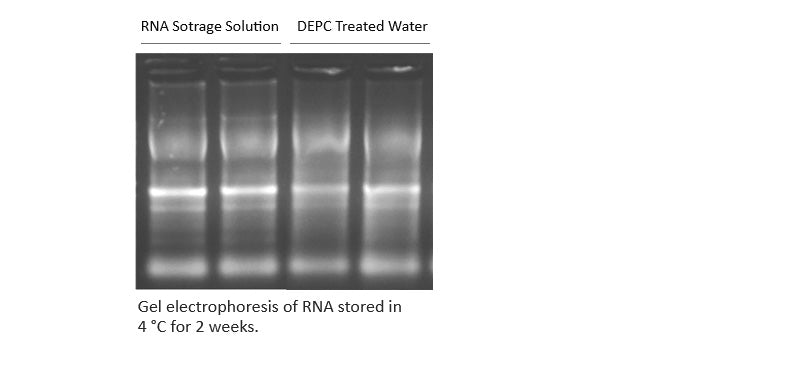 RNA Storage Solution – GenDEPOT