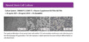 Neuron Supplement B27 (50X)