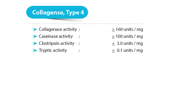 Collagenase Type 4,  > 160 units/mg