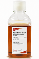 Fetal Bovine Serum (FBS), Premium, US Origin , Heat Inactivated