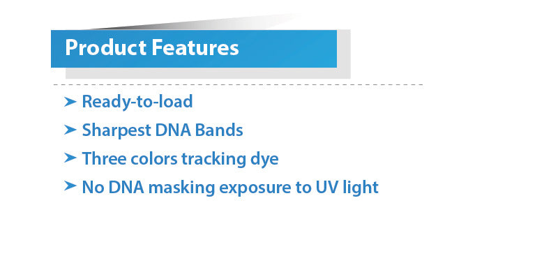 Xpert 100bp DNA Marker Plus 50