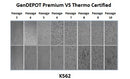 Fetal Bovine Serum (FBS), Premium, US Origin , Heat Inactivated