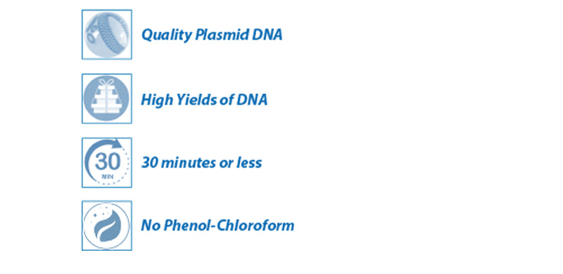 PURY Plasmid Mini Kit, Bulk Pack