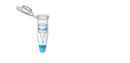 PURY Plasmid Mini Kit