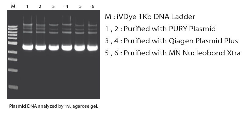 PURY Plasmid Maxi Kit