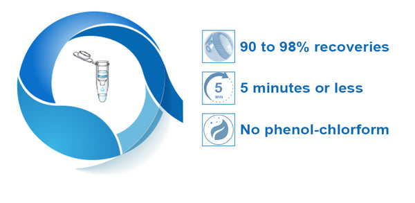 PURY PCR Purification Kit