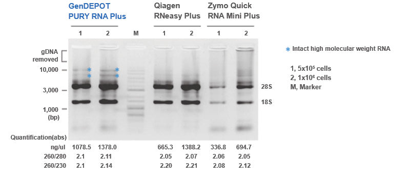 PURY RNA Plus