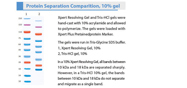 Xpert Resolving Gel Casting Buffer(2X)