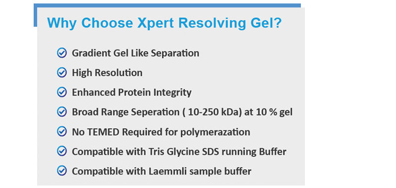 Xpert Resolving Gel Casting Buffer(2X)