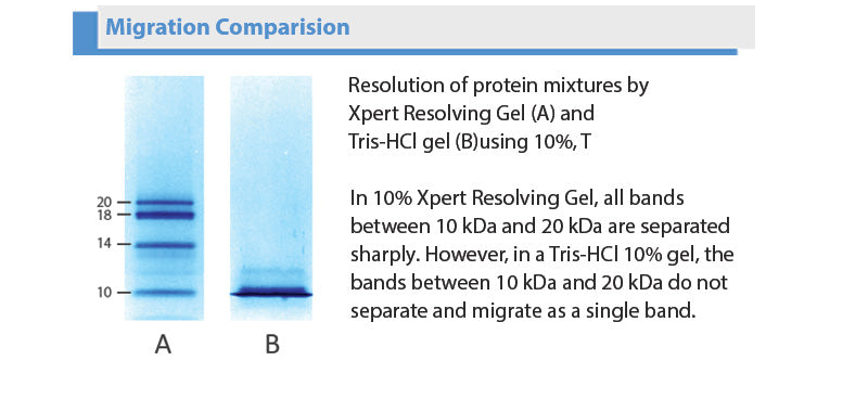 Xpert Resolving Gel Casting Buffer(2X)