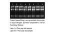 PureXtract RNAsol RNA Isoltaion Solution