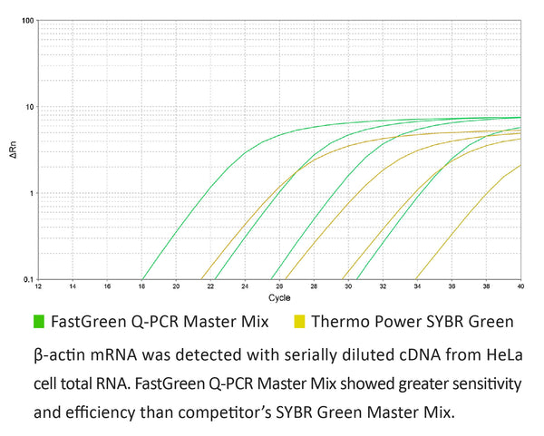 FastGreen Q-PCR Master Mix (2X), Fluorescein