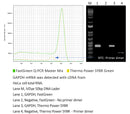 FastGreen Q-PCR Master Mix (2X)