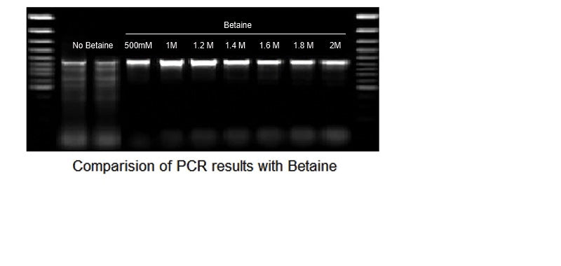 5M Betaine Solution, PCR Certified