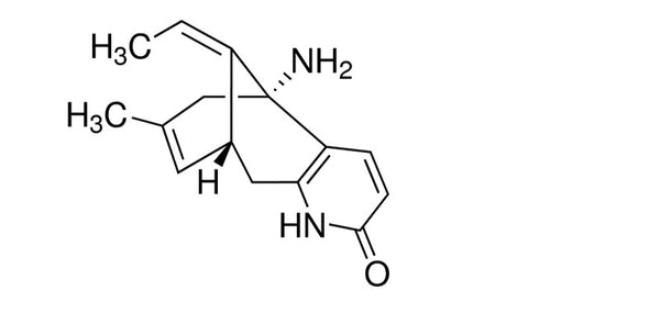 Huperzine a nmda receptor antagonist best sale