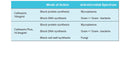 Cellmaxin Plus, Anti-Mycoplasma