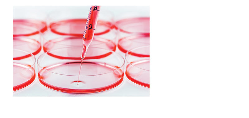 Gelatin Solution, 0.1%, Cell Culture Tested