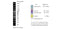 100bp PCR Ranger DNA Marker, 100bp-To-3Kb