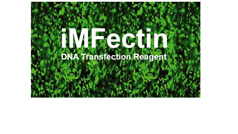 iMFectin DNA Transfection Reagent