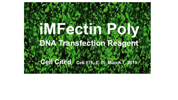 iMFectin Poly DNA Transfection Reagent