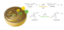 LucyQ Duo-Luciferase(Firefly & Renilla) Assay Kit