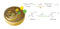 LucyQ Duo-Luciferase(Firefly & Renilla) Assay Kit