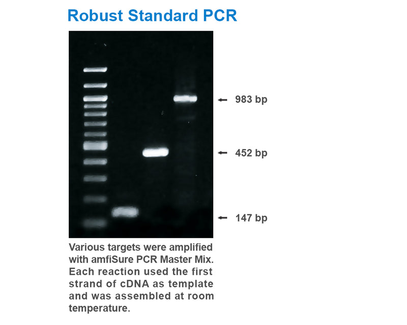 amfiSure PCR Premix Mix