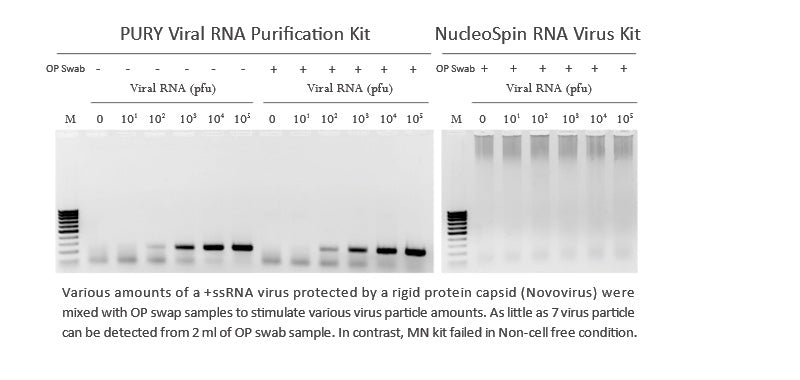 PURY Viral RNA Mini