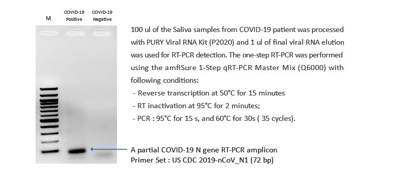 PURY Viral RNA Mini