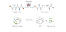 Proteinase K, 20mg/ml