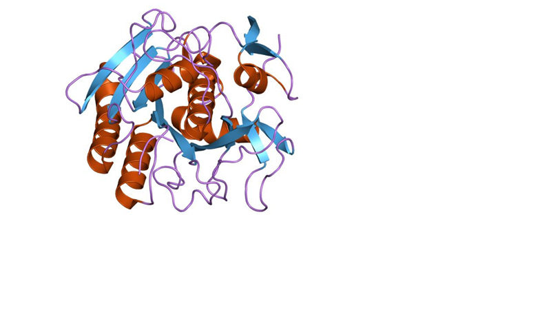 Proteinase K, 20mg/ml