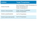 Xpert Phosphatase Inhibitor Cocktail Solution(100X)