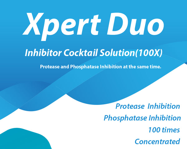 Xpert Duo Inhibitor Cocktail Solution(100X)