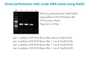 amfiSure PCR ONE PCR Master Mix(2X)