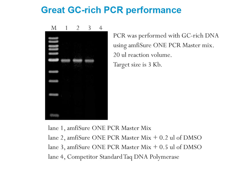 Pcr Performance amfiSure PCR ONE PCR Master Mix(2X) – GenDEPOT