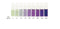 Bicinchoninic Acid(BCA) Protein Assay Reagent B