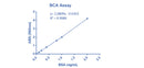 Bicinchoninic Acid(BCA) Protein Assay Reagent B