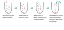 Puredown Protein G-Agarose, BSA-Binding Site Blocked