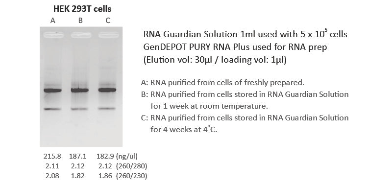 RNA Guardian Solution