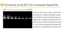 amfiRivert cDNA Synthesis Platinum Master Mix