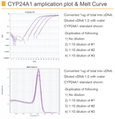 amfiRivert cDNA Synthesis Platinum Master Mix