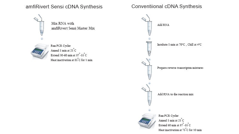 amfiRivert Sensi cDNA Synthesis Master Mix(4X)